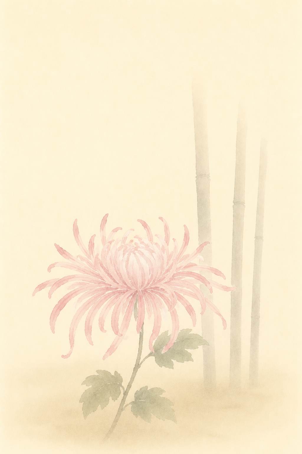さごろも 籬の乱菊